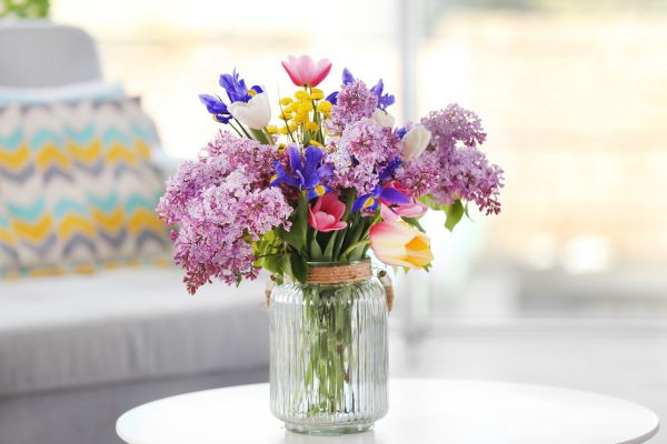 Tipps Schnittblumen länger frischhalten