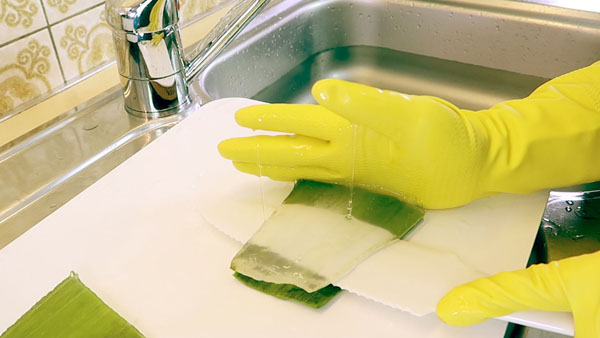 Aloe Vera Gel für Saft auslösen