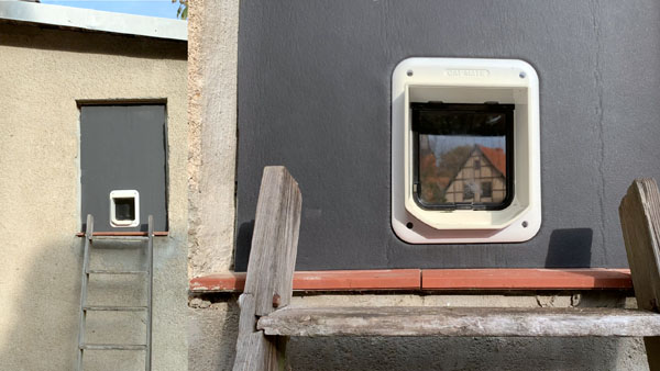 Katzenklappe in kleines Fenster einbauen