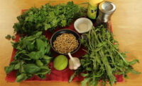 Kräuter Pesto selber machen