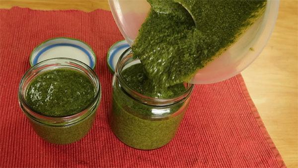 Pesto richtig lagern