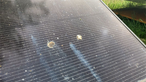 Solarpanel dreckig